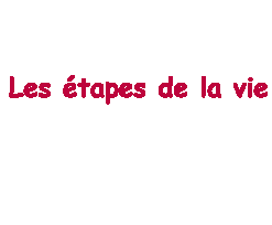 les etape de la vie